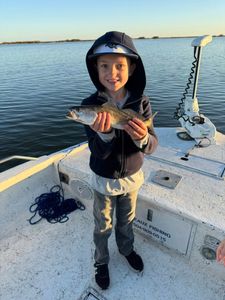 Next-Gen Crew Filling the Box