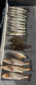 Hard-earned speckled trout and redfish haul