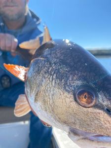 Summer fishing dates filling fast