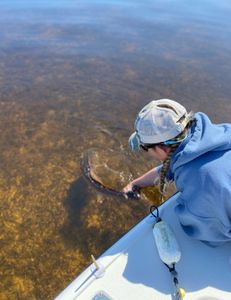 Spring has sprung here in N Fl