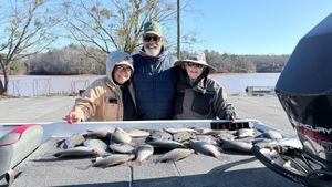 Mastering the Deep Brush and Long-Line Trolling Pattern