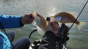 How to Get a Georgia Fishing License for Your Lake Lanier Trip