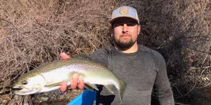 Sacramento River Fishing