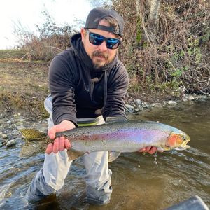 Sacramento River Fishing