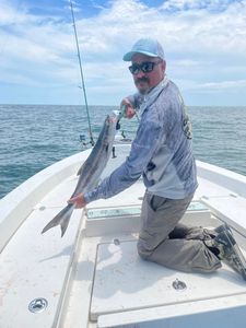 Rough Waters, Solid Catch: 5 Cobia & a Deck Full of Gags