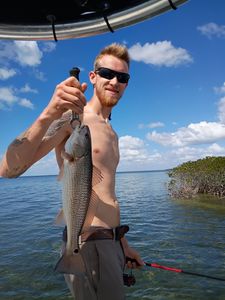 Spring Bite Heating Up on Sheepshead Trout and Redfish