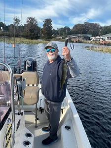 Crystal River Bass Fishing: Chain Pickerel Action with Captain Miller