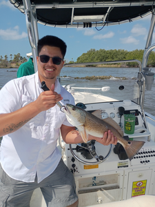 Crystal River Spring Redfish & Trout - 4hr Tops Charters Trip