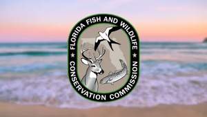 Florida Fishing License