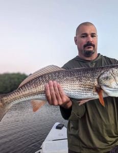 Crystal River Inshore: Redfish, Snapper & Flounder Action