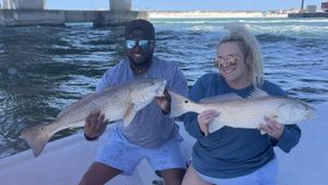 Hot Weather, Hotter Bites on the Gulf