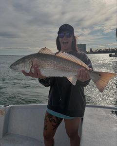 Spring bites are heating up!