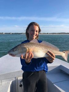 Redfish in the Gulf Shores