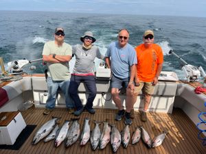 Planning Your Sodus Point Trip? Your NY Fishing License FAQ