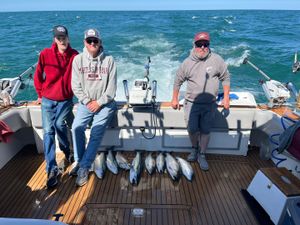 Lake Ontario Fishing Season: When to Catch a Legend