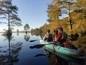 Top Things to Do in Chesapeake Bay