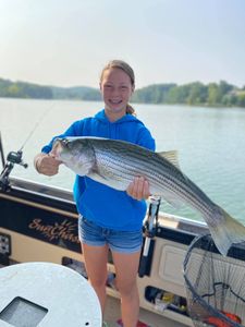 Striped bass showdown on Cherokee Lake! 