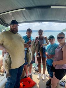 Striped bass party on Cherokee Lake! 