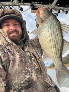 Cherokee Lake bite heating up with Captain Ron