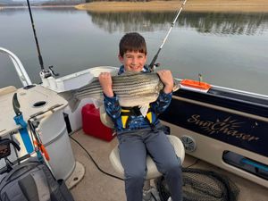 Cherokee Lake striped bass action with Captain Ron