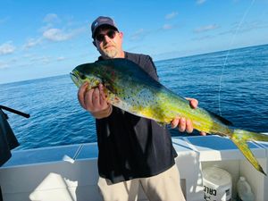 Bottom Line Sportfishing – Lewes Delaware charter, 1 spot left Aug 16 for 10-hour mahi mahi trip! Call 302-579-3583.