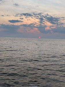 Bottom Line Sportfishing – Day 3 Flounder Pounder Open, big flounder action ahead, wish us luck!