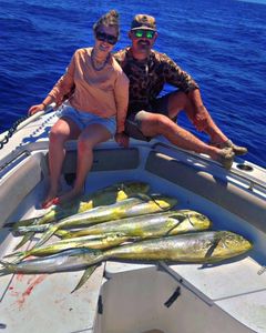 Atlantic Mahi Bite With Return Clients
