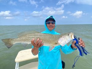Lower Laguna Madre Heating Up with Trophy Trout!