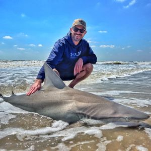 Big Game, Big Thrill: Galveston Sharks