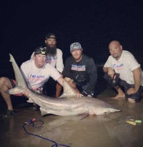 Action Packed Night Shark Fishing Trip, TX