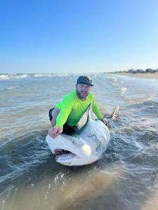 Topnotch Texas land-based shark fishing