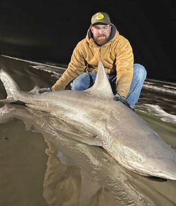 Galveston's Finest: Shark Fishing Adventures