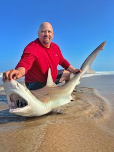 Galveston's Shark Waters: Reel in Excitement