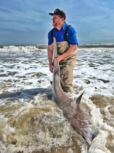 Ocean Giants Call: Galveston Shark Quest