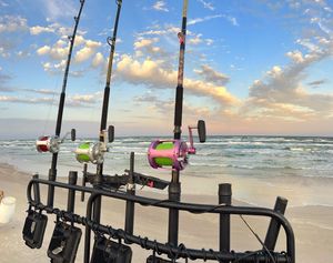 Rods Up For An Amazing Shark Fishing 