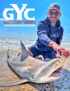 Galveston's Great Sharks: Epic Fishing!