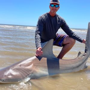 Hooking Giants: Galveston Shark Adventure
