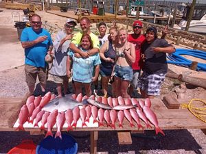Grey Triggerfish & Snapper Fishing 