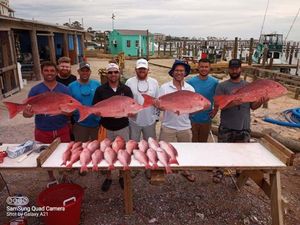 Bounty Catch of Red Snapper