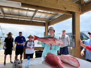 Red Snapper Fishing in Florida