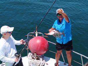 Glad they enjoyed!! Pensacola fishing charters	