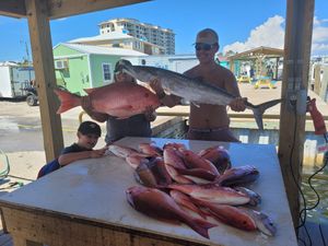 King Mackerel & Snapper Fish From Pensacola
