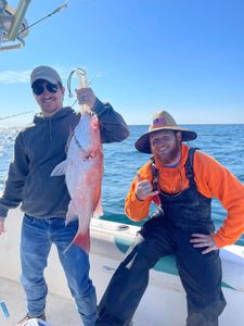 Destin Fishing Report