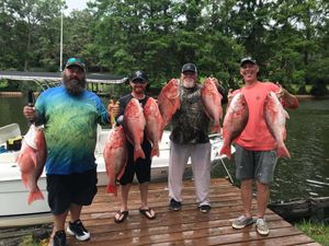 Group Fishing Charter In Pensacola Bay