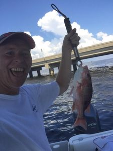 Mangrove Red Snapper Fishing in Pensacola, Fl