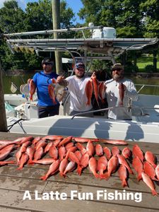 Solid vermilion snapper bite offshore
