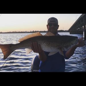 Florida's Top Fishing Charter For Redfish