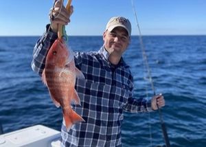 Fishing Forecast Pensacola: Offshore and Nearshore Breakdown