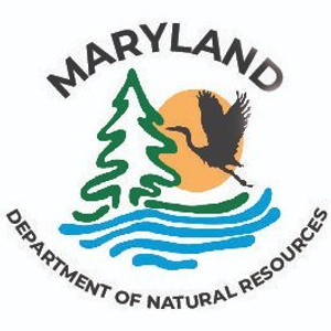 Maryland Fishing License