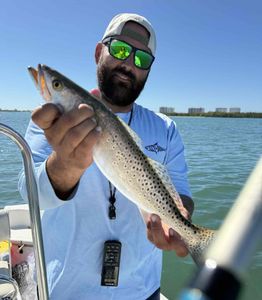 Private Fishing Charters in Sarasota Bay
